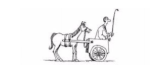 cart before horse